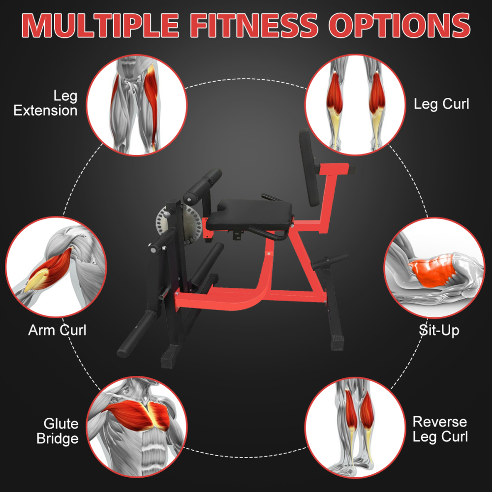 Mesin Ekstensi dan Curl Kaki y - Home Gym Leg Extension ulasan dan harga