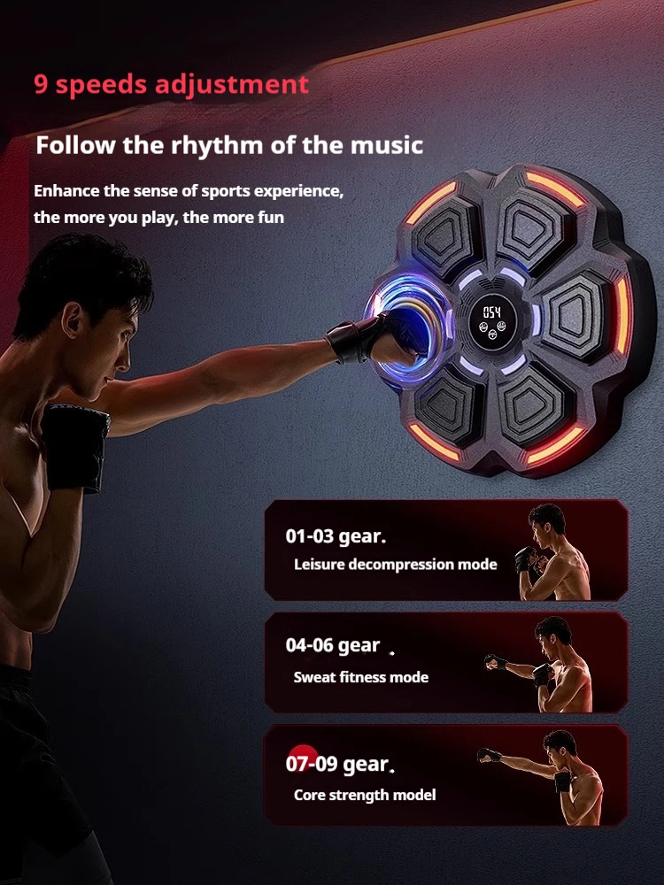 Target Tinju Dinding yang Dapa - Home Gym Installation ulasan dan harga