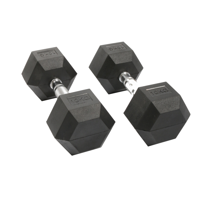 Dumbbell Hexagonal Berlapis Ka - Home Gym Custom ulasan dan harga