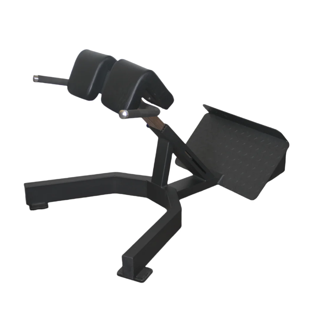 Alat Latihan Punggung Roman Ch - Home Gym Leg Extension ulasan dan harga