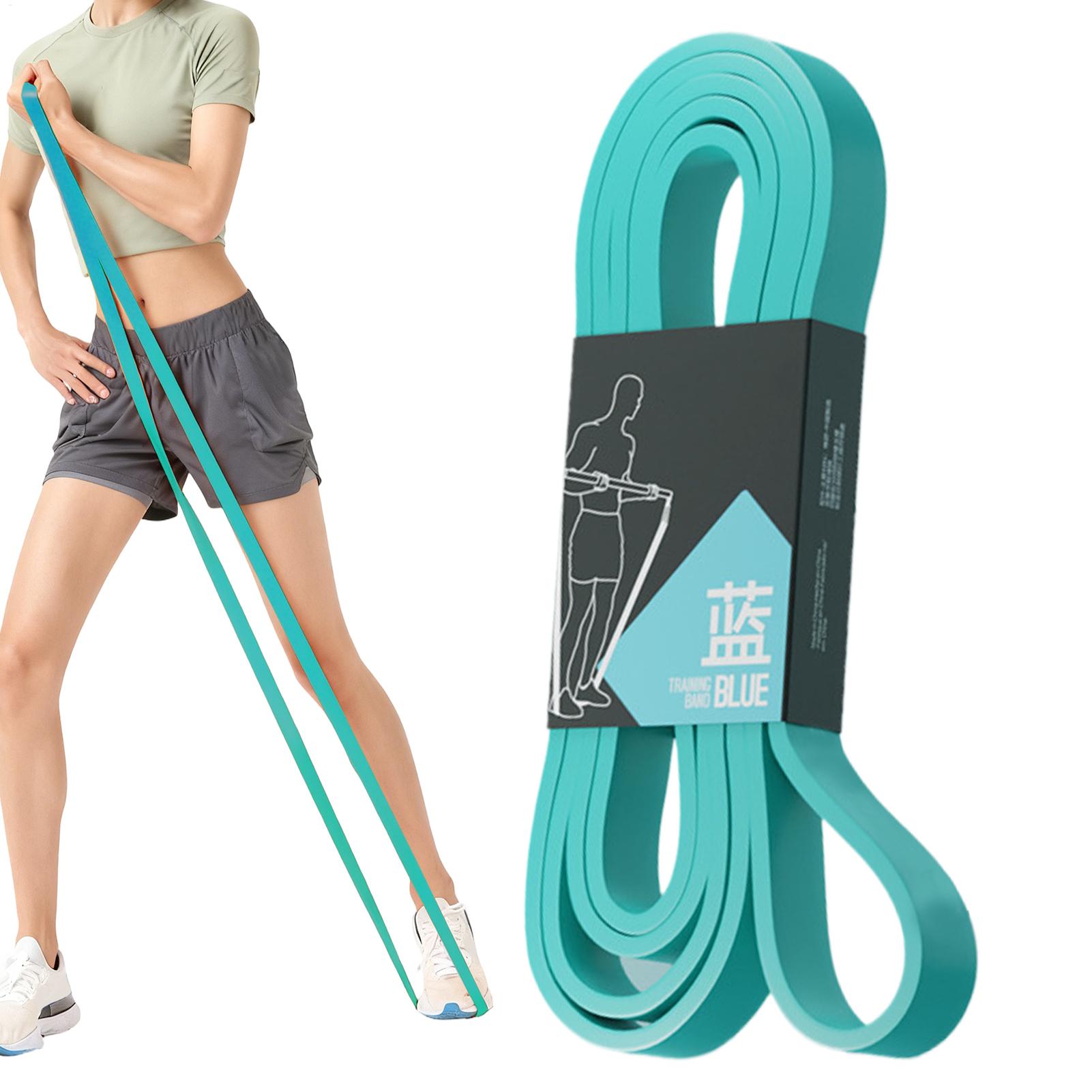 Pita Resistensi Latihan Elasti - Home Gym Leg Extension ulasan dan harga